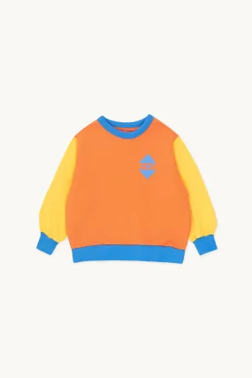 Color Block Sweatshirt – brick/deep yellow