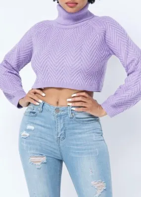 Hera Collection Chevron Turtle Neck Sweater (Lavender) 22563