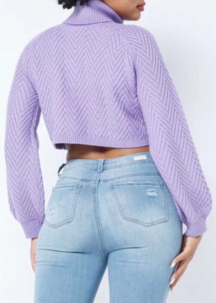 Hera Collection Chevron Turtle Neck Sweater (Lavender) 22563